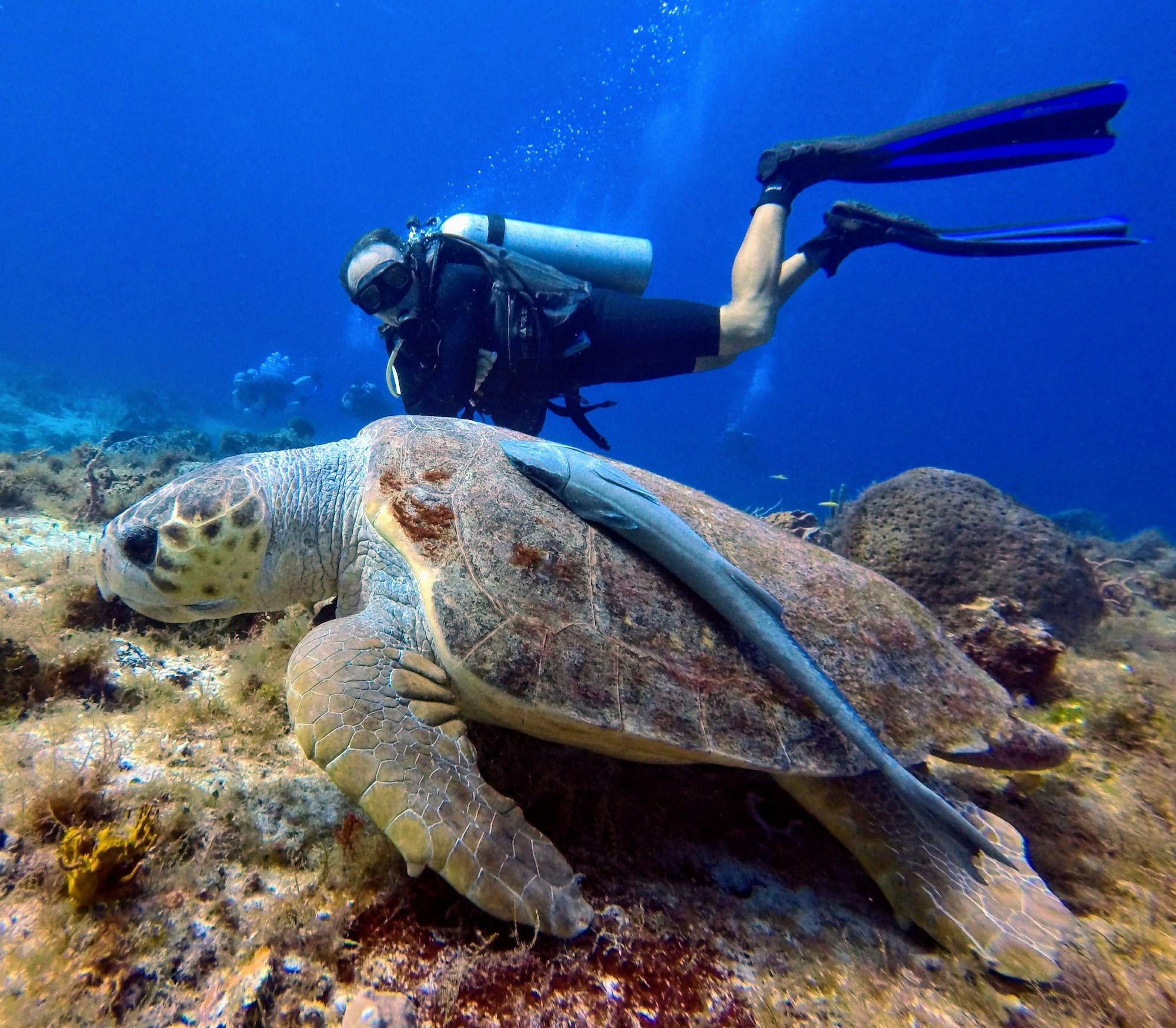 Casa Del Mar Cozumel Hotel & Dive Resort Экстерьер фото